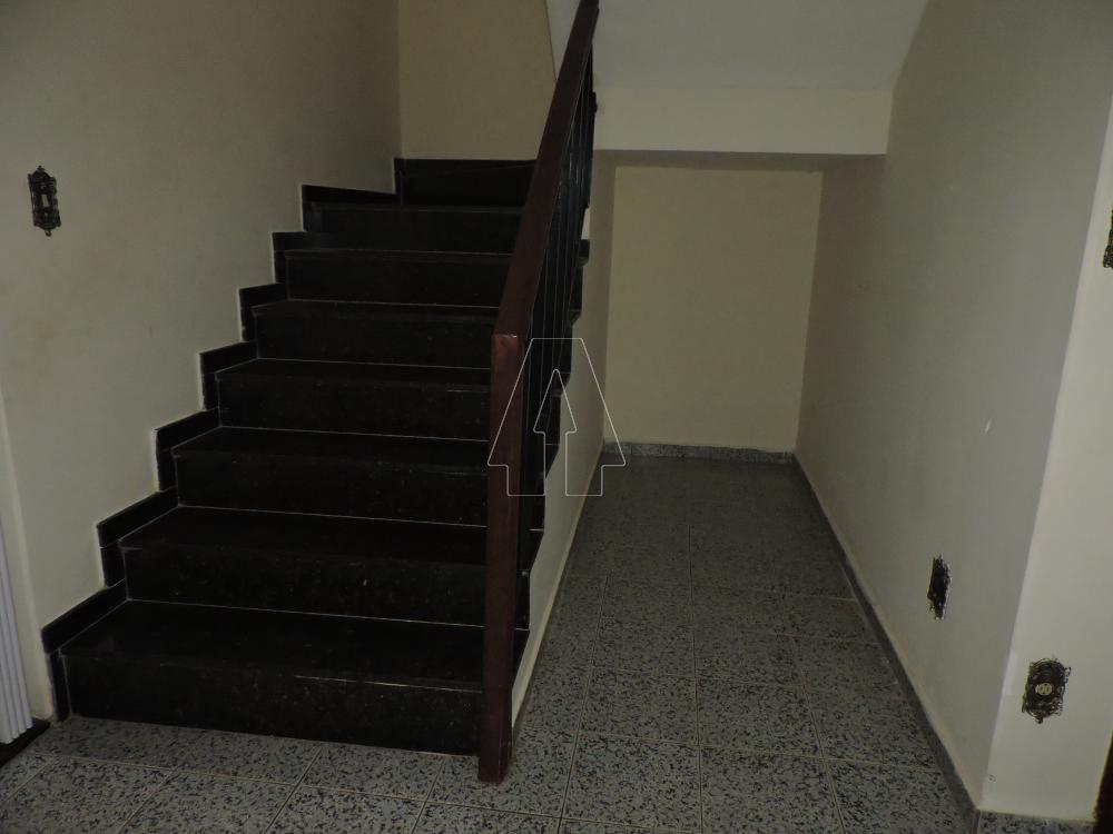 Alugar Casa / Residencial em Araçatuba R$ 2.000,00 - Foto 5