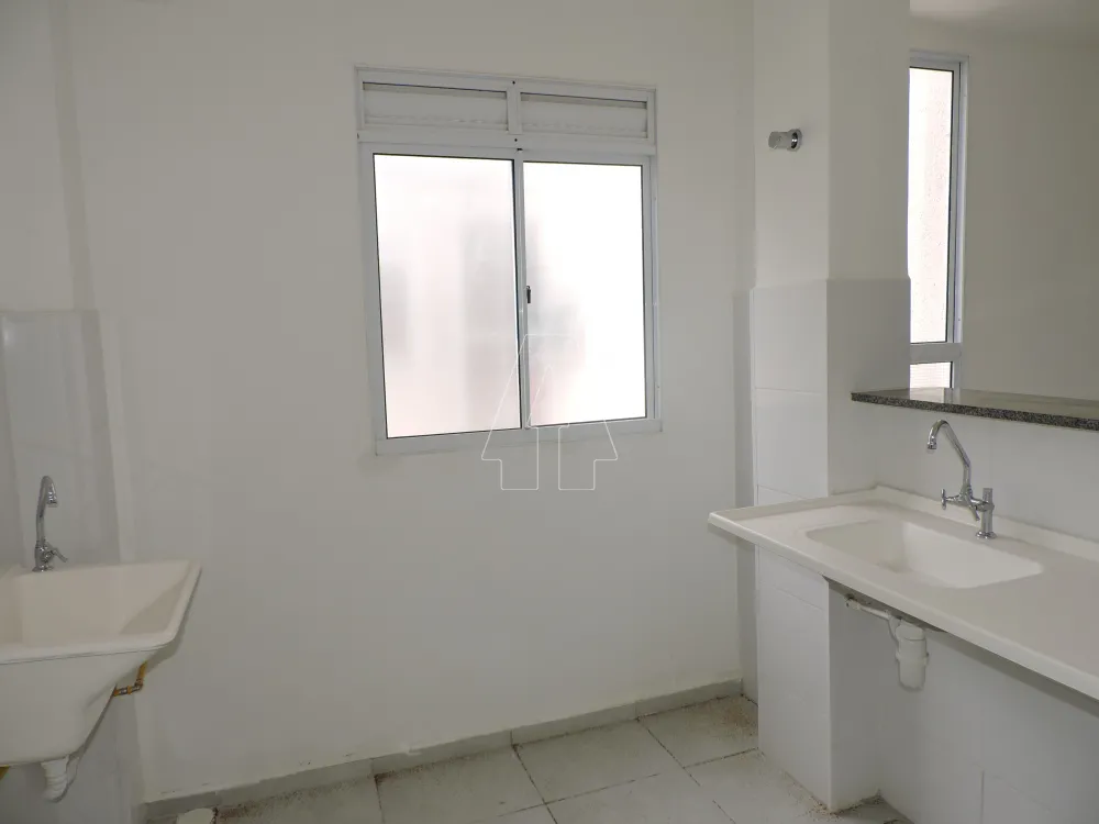 Alugar Apartamento / Padrão em Araçatuba R$ 900,00 - Foto 3
