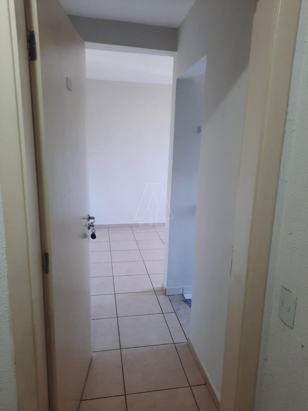 Alugar Apartamento / Padrão em Araçatuba R$ 850,00 - Foto 1