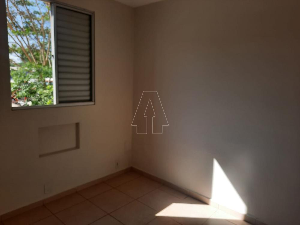 Alugar Apartamento / Padrão em Araçatuba R$ 850,00 - Foto 7