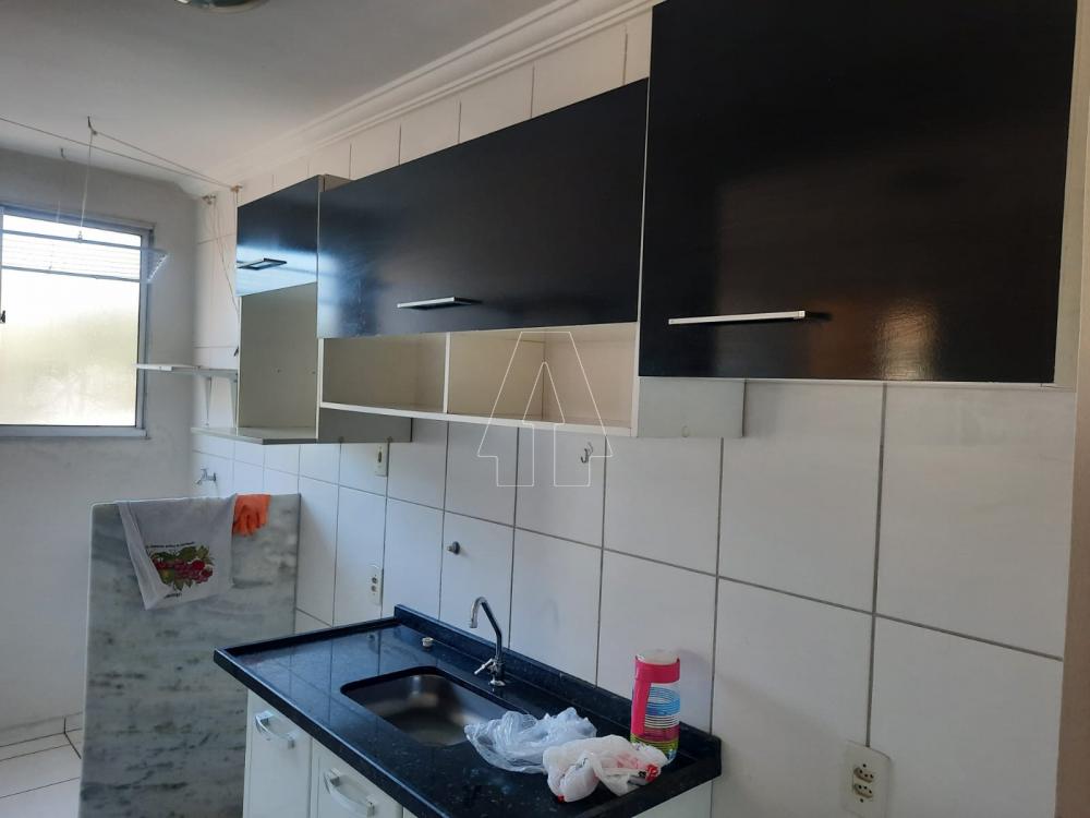 Alugar Apartamento / Padrão em Araçatuba R$ 850,00 - Foto 3