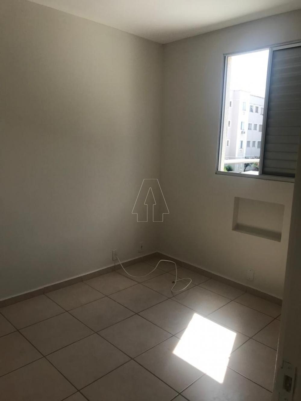 Alugar Apartamento / Padrão em Araçatuba R$ 850,00 - Foto 14