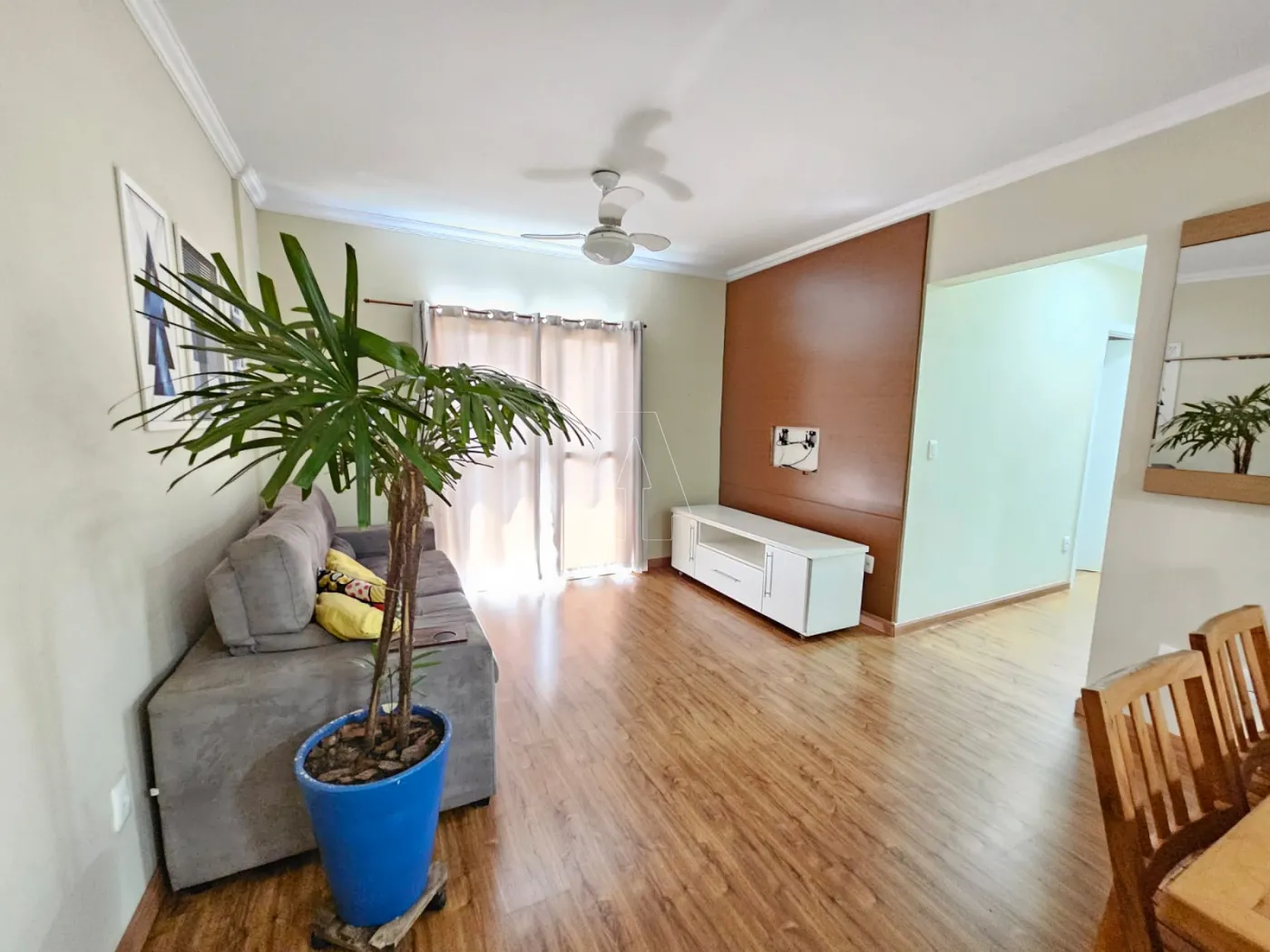 Alugar Apartamento / Padrão em Araçatuba R$ 2.400,00 - Foto 1