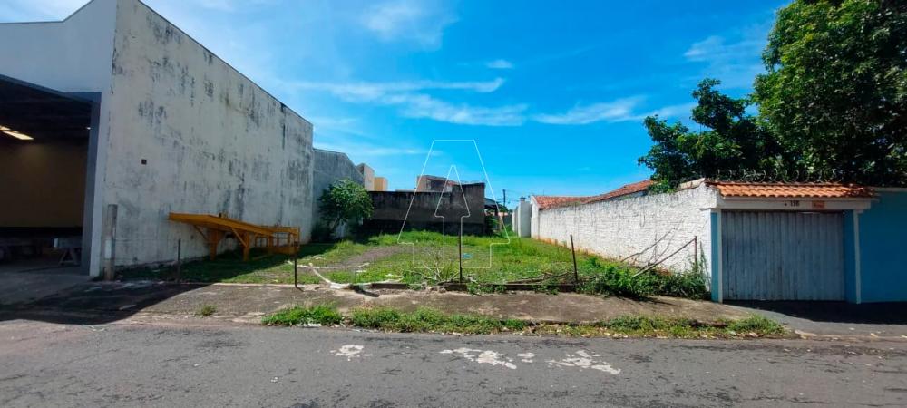 Comprar Terreno / Padrão em Araçatuba R$ 190.000,00 - Foto 2