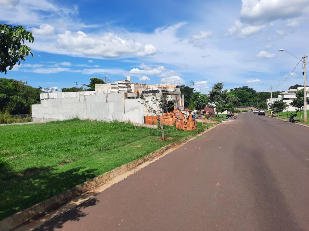 Comprar Terreno / Condomínio em Araçatuba R$ 420.000,00 - Foto 4