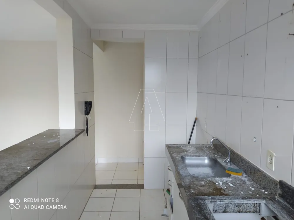 Alugar Apartamento / Padrão em Araçatuba R$ 550,00 - Foto 1
