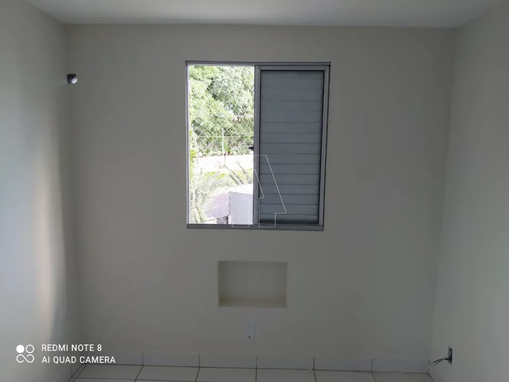 Alugar Apartamento / Padrão em Araçatuba R$ 550,00 - Foto 3
