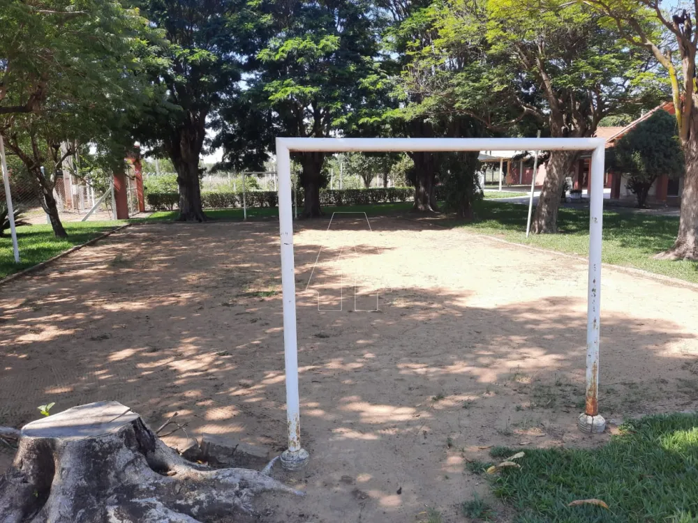 Comprar Rural / Chácara em Araçatuba R$ 1.000.000,00 - Foto 8