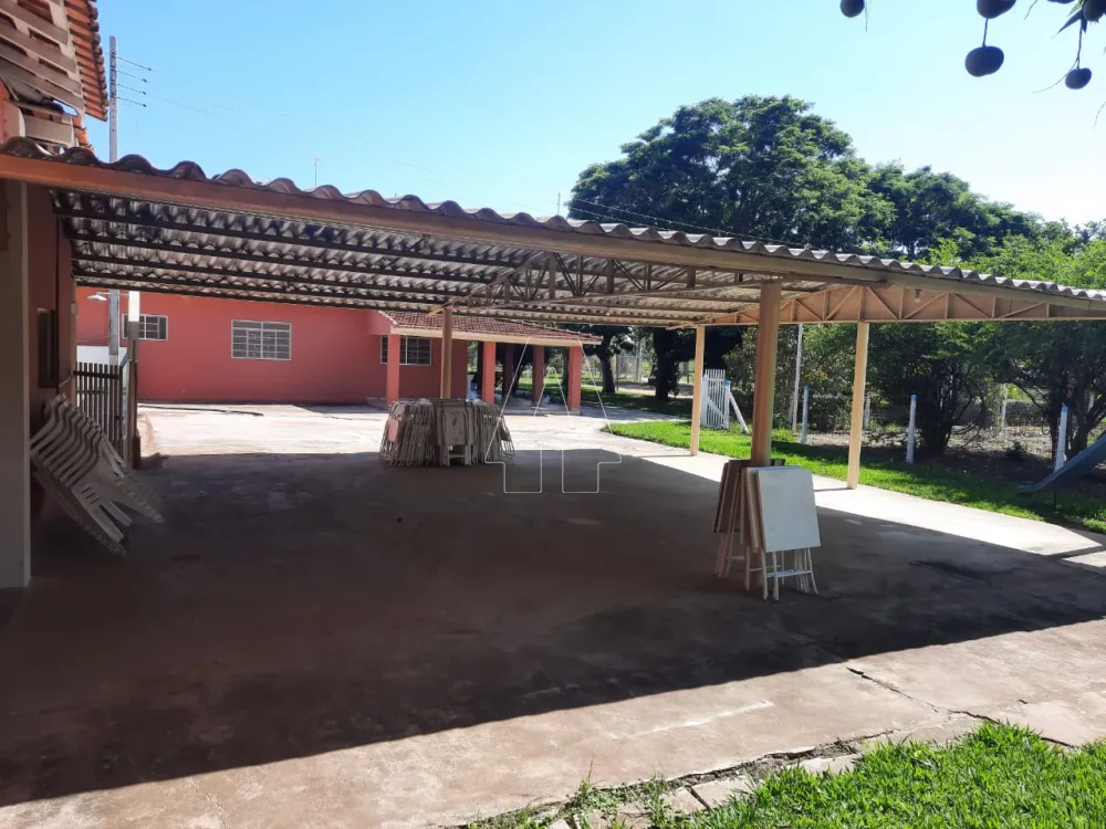 Comprar Rural / Chácara em Araçatuba R$ 1.000.000,00 - Foto 10