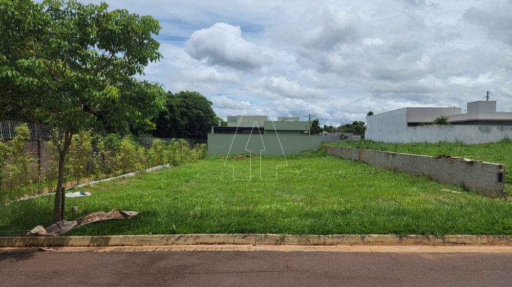 Comprar Terreno / Condomínio em Araçatuba R$ 290.000,00 - Foto 1