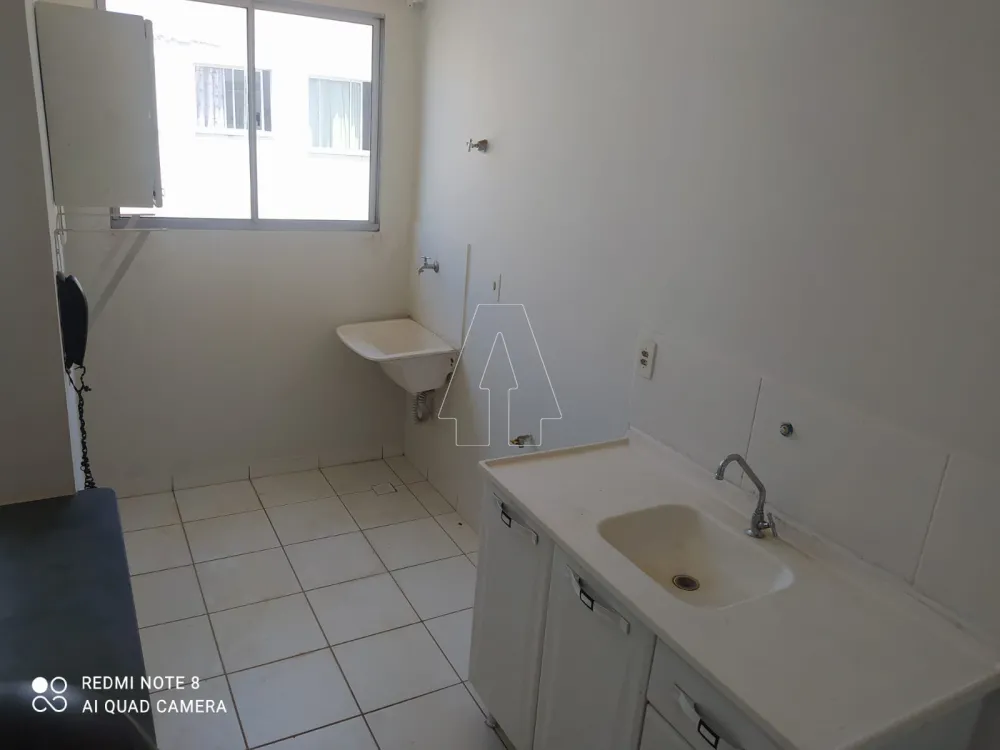 Alugar Apartamento / Padrão em Araçatuba R$ 935,00 - Foto 3