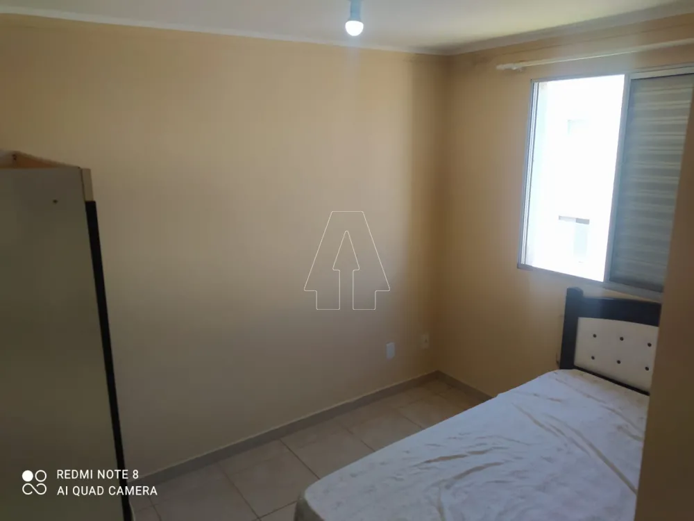 Alugar Apartamento / Padrão em Araçatuba R$ 935,00 - Foto 5