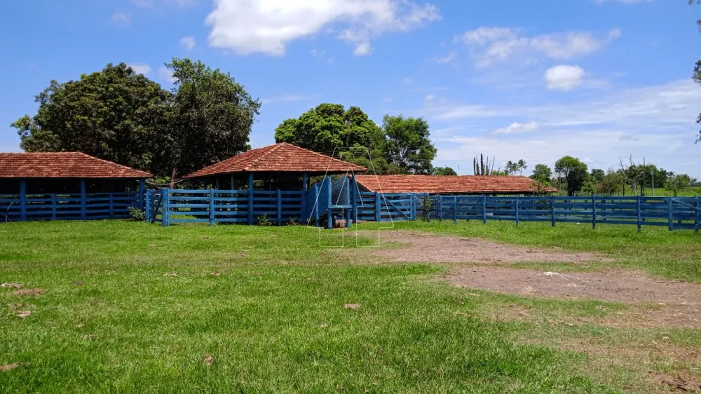 Comprar Rural / Sítio em Araçatuba - Foto 8