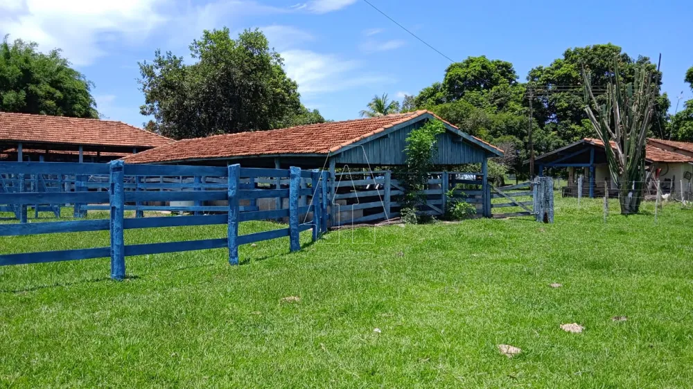 Comprar Rural / Sítio em Araçatuba - Foto 10