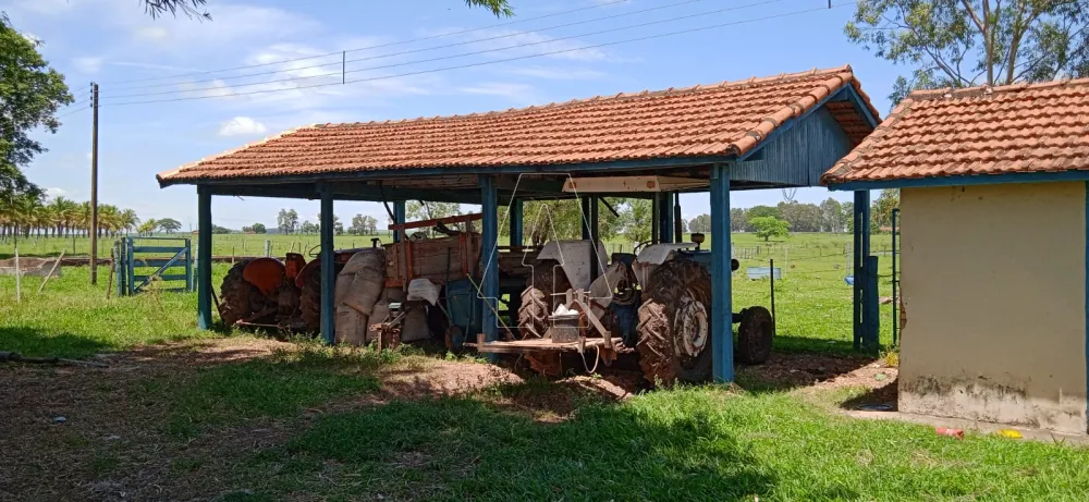 Comprar Rural / Sítio em Araçatuba - Foto 13