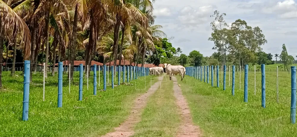 Comprar Rural / Sítio em Araçatuba - Foto 22