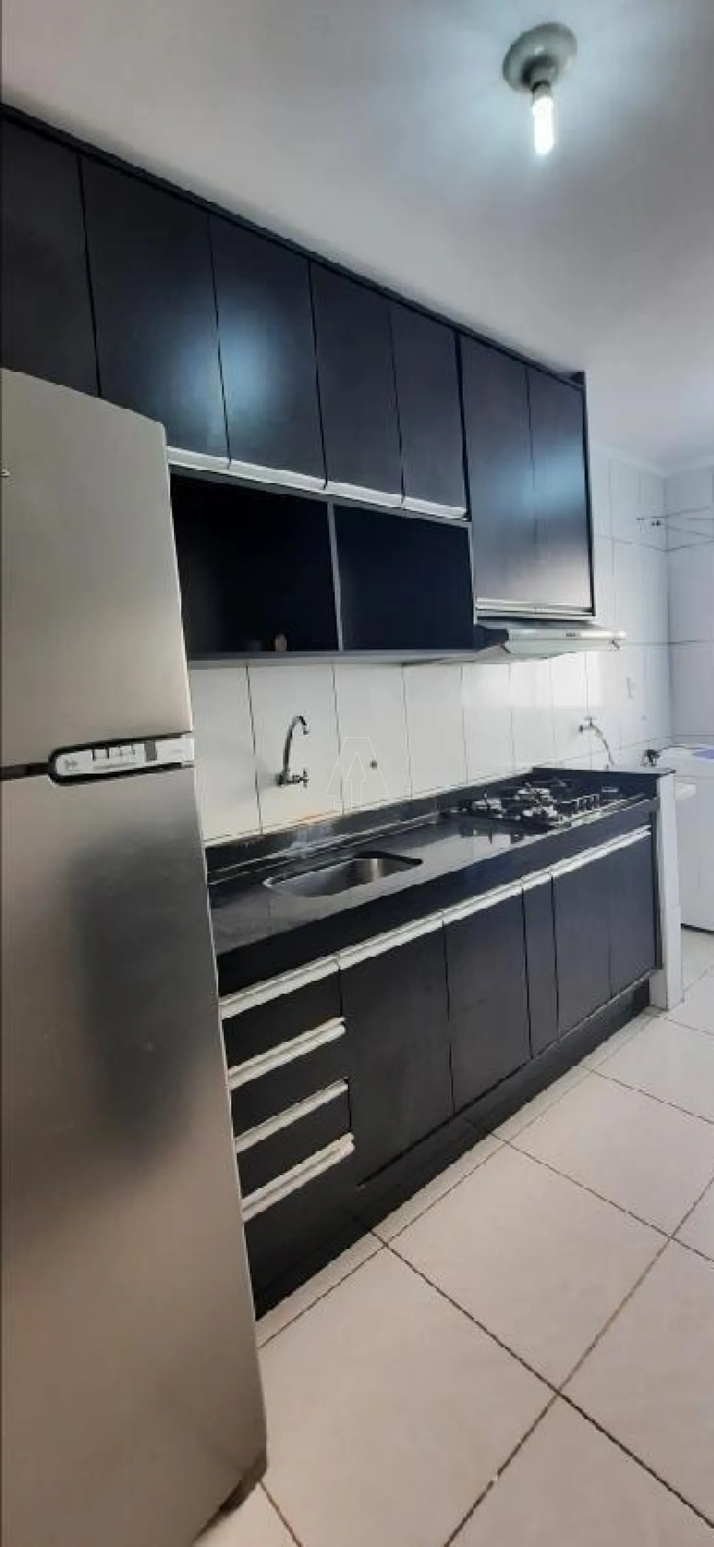 Alugar Apartamento / Padrão em Araçatuba R$ 1.200,00 - Foto 3