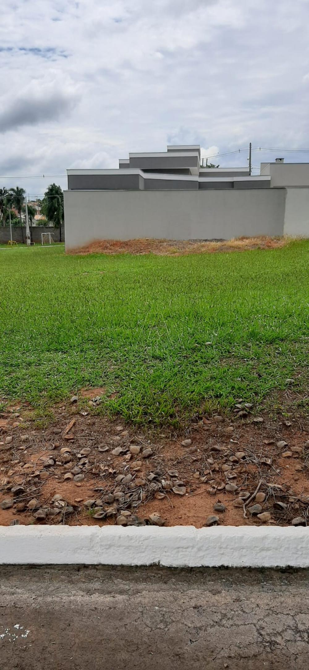 Comprar Terreno / Condomínio em Araçatuba R$ 110.000,00 - Foto 2