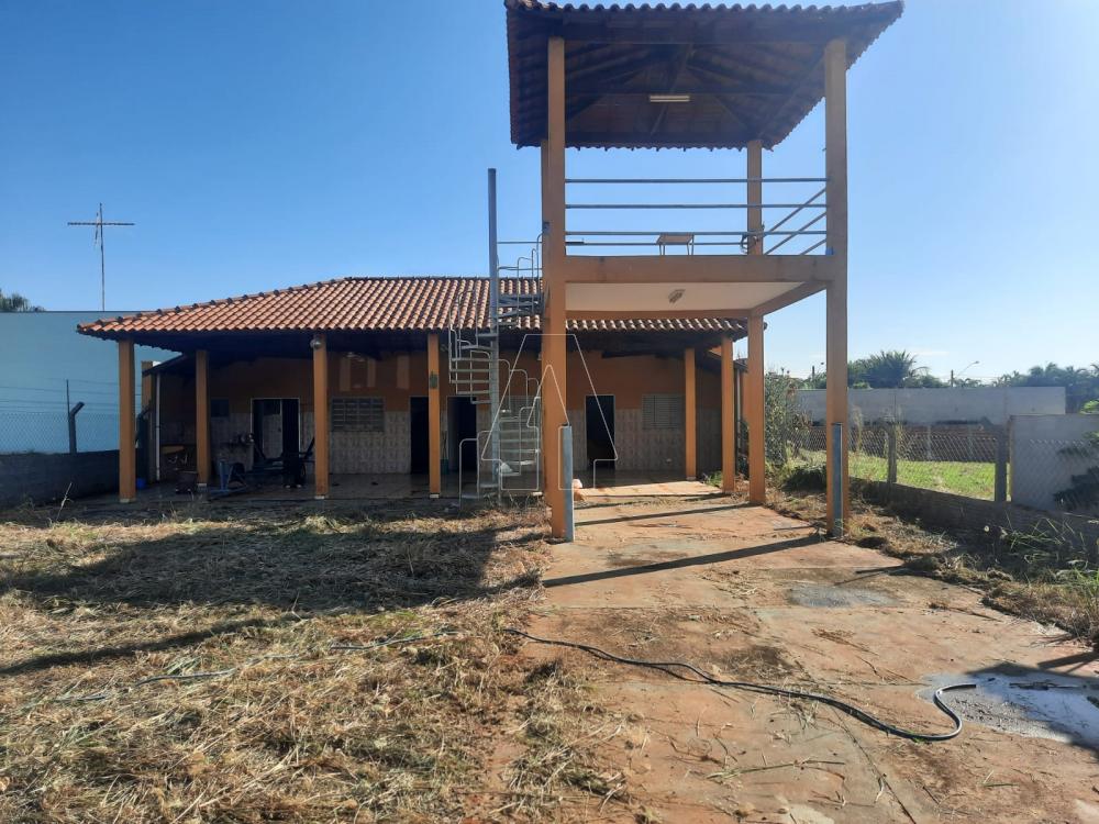 Comprar Rural / Rancho Condomínio em Araçatuba R$ 250.000,00 - Foto 1