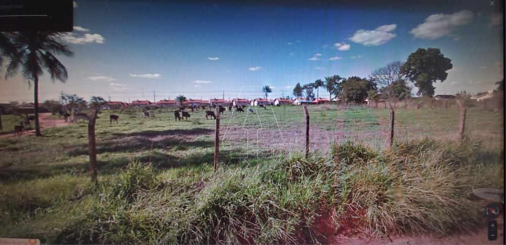 Comprar Terreno / Área em Araçatuba R$ 210.000,00 - Foto 1