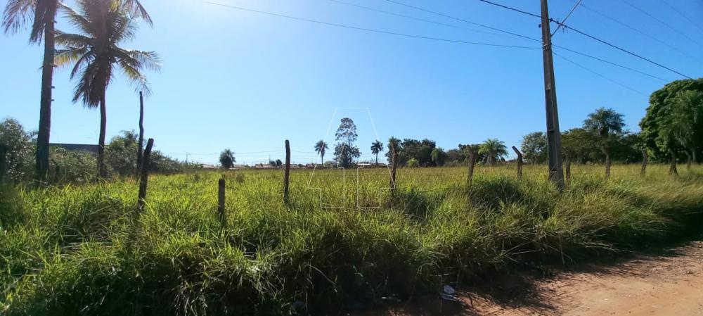 Comprar Terreno / Área em Araçatuba R$ 210.000,00 - Foto 2