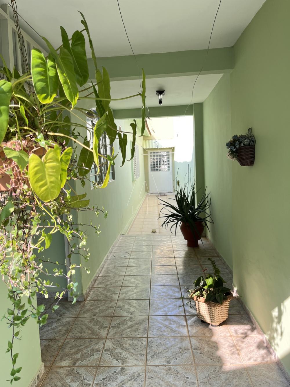 Comprar Casa / Residencial em Araçatuba R$ 370.000,00 - Foto 16