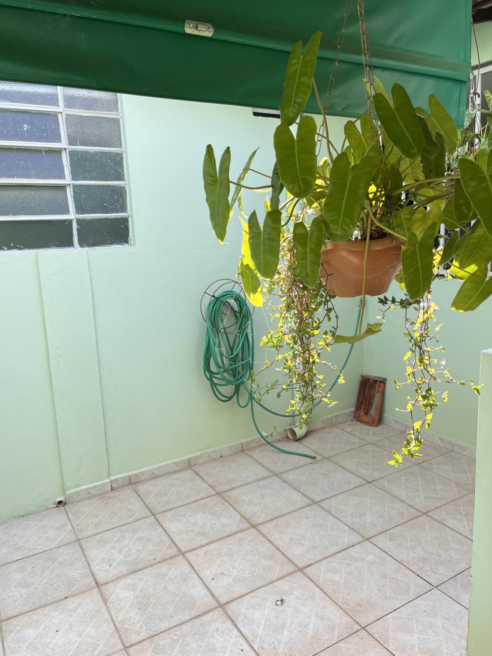 Comprar Casa / Residencial em Araçatuba R$ 370.000,00 - Foto 17