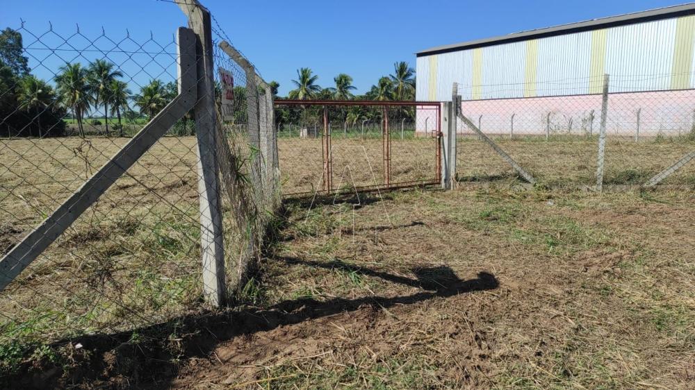 Comprar Rural / Chácara em Araçatuba R$ 397.000,00 - Foto 5