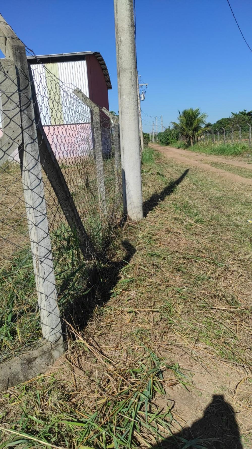 Comprar Rural / Chácara em Araçatuba R$ 397.000,00 - Foto 8