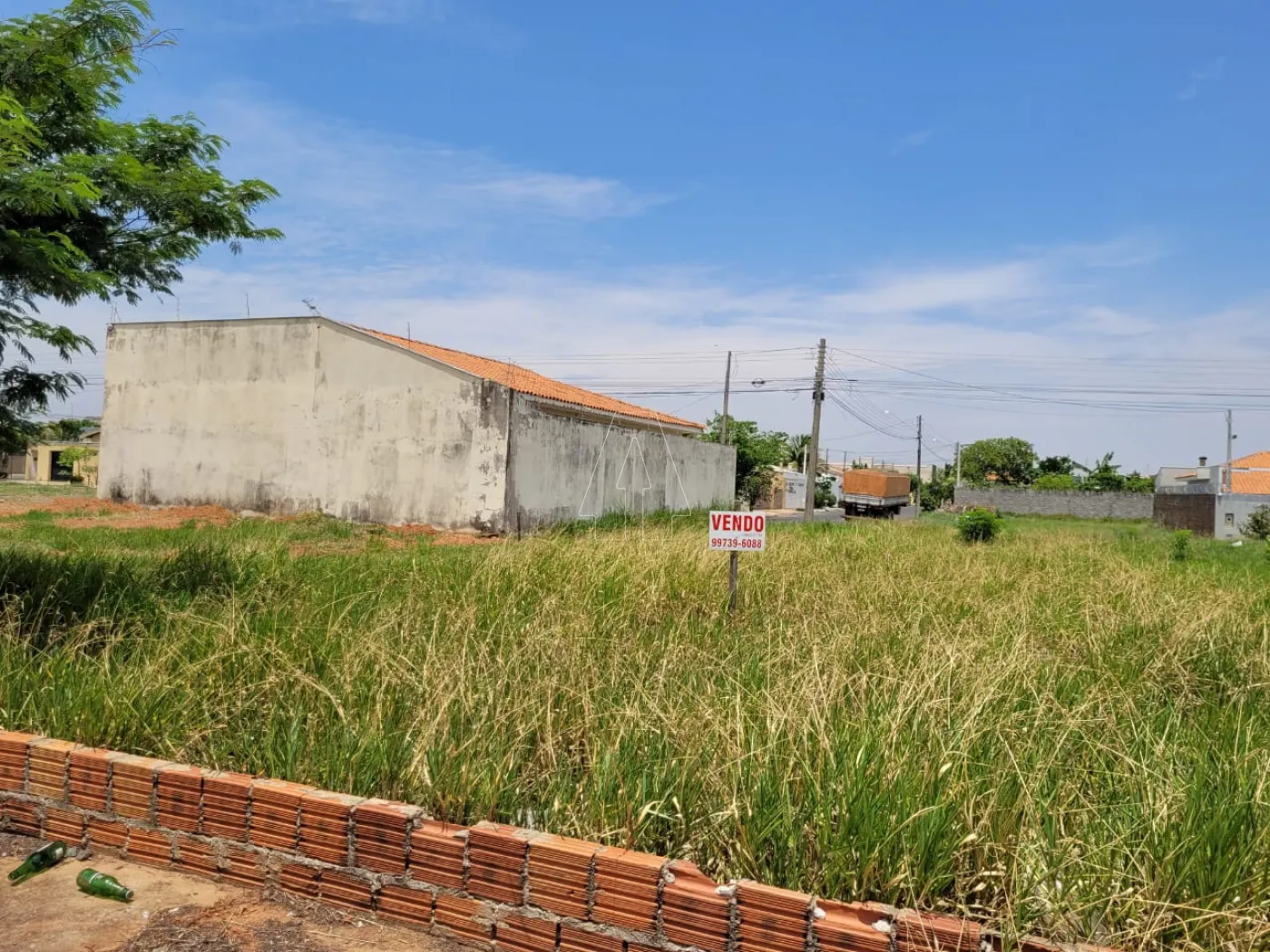 Comprar Terreno / Padrão em Araçatuba R$ 290.000,00 - Foto 1