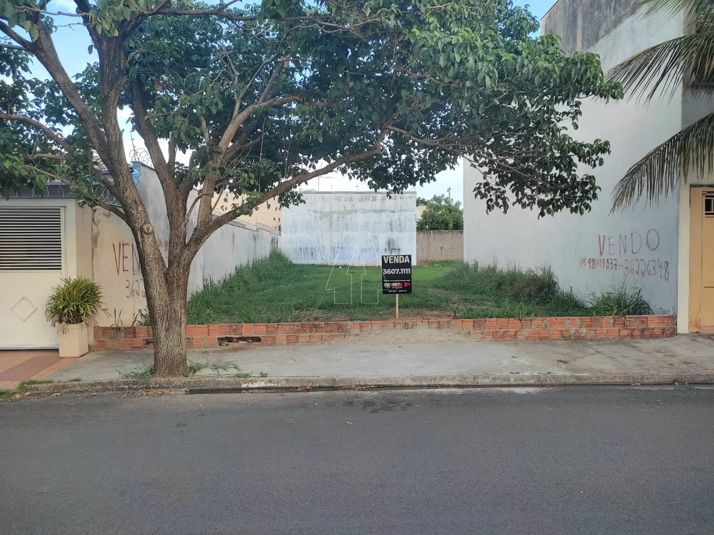 Comprar Terreno / Padrão em Araçatuba R$ 178.500,00 - Foto 1