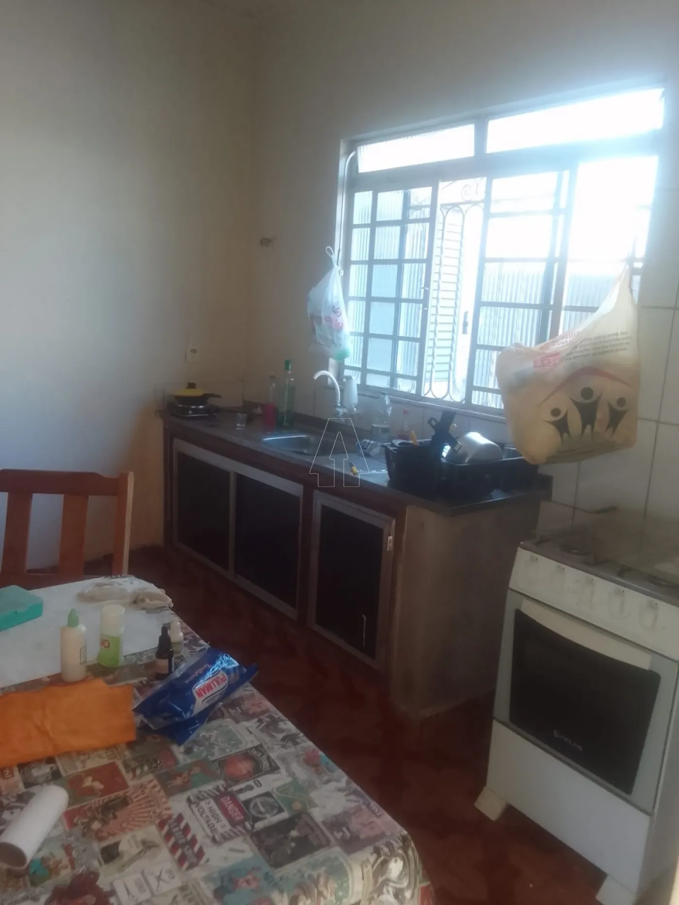 Comprar Casa / Residencial em Araçatuba R$ 500.000,00 - Foto 1
