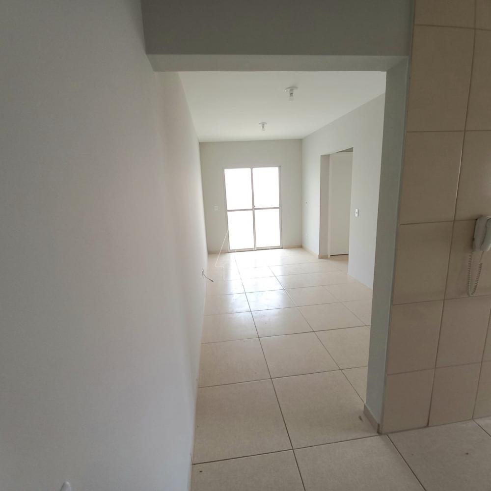 Comprar Apartamento / Padrão em Araçatuba R$ 125.000,00 - Foto 3