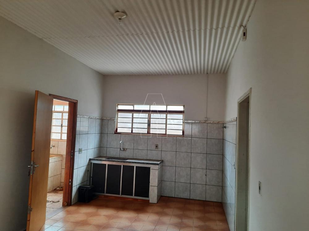 Alugar Casa / Residencial em Araçatuba R$ 1.000,00 - Foto 9