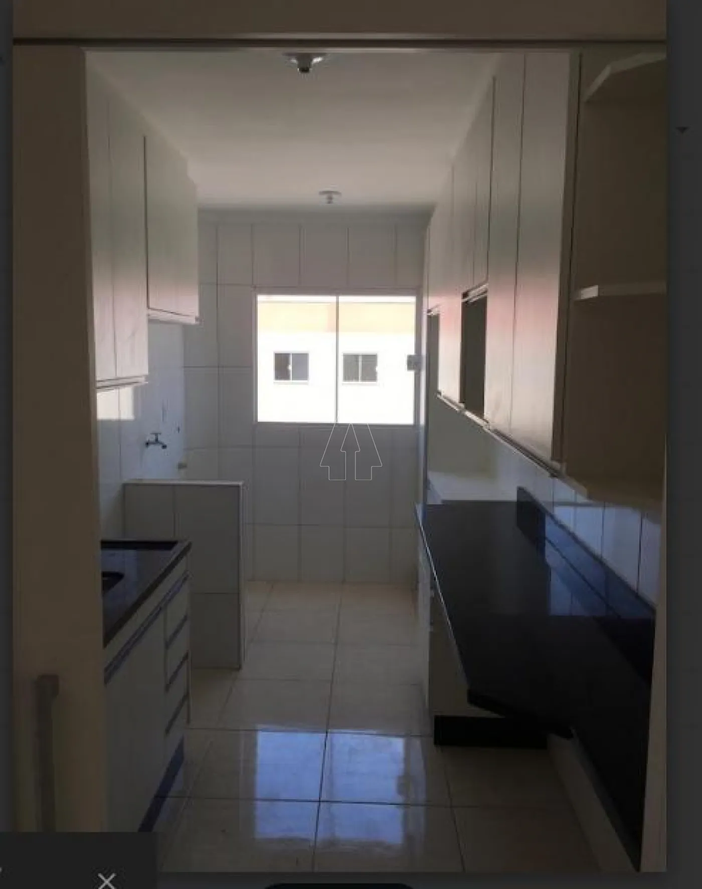 Alugar Apartamento / Padrão em Araçatuba R$ 1.300,00 - Foto 9