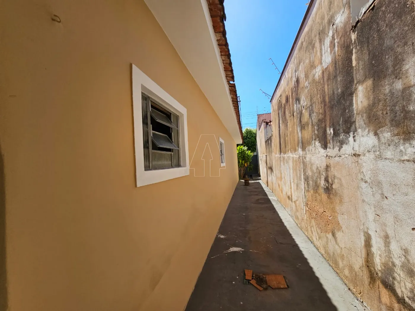 Alugar Casa / Residencial em Araçatuba R$ 1.000,00 - Foto 7