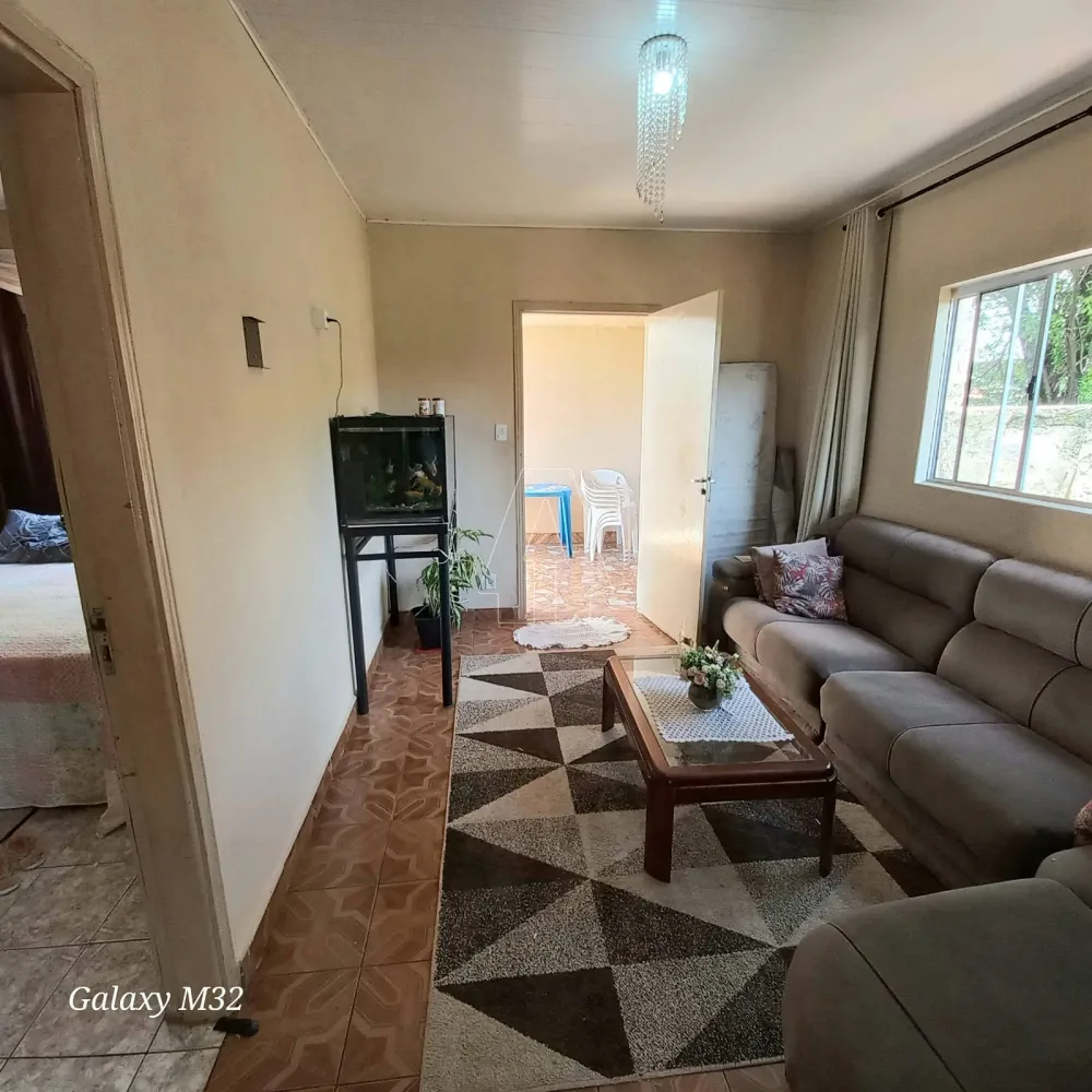 Comprar Casa / Residencial em Araçatuba R$ 380.000,00 - Foto 12