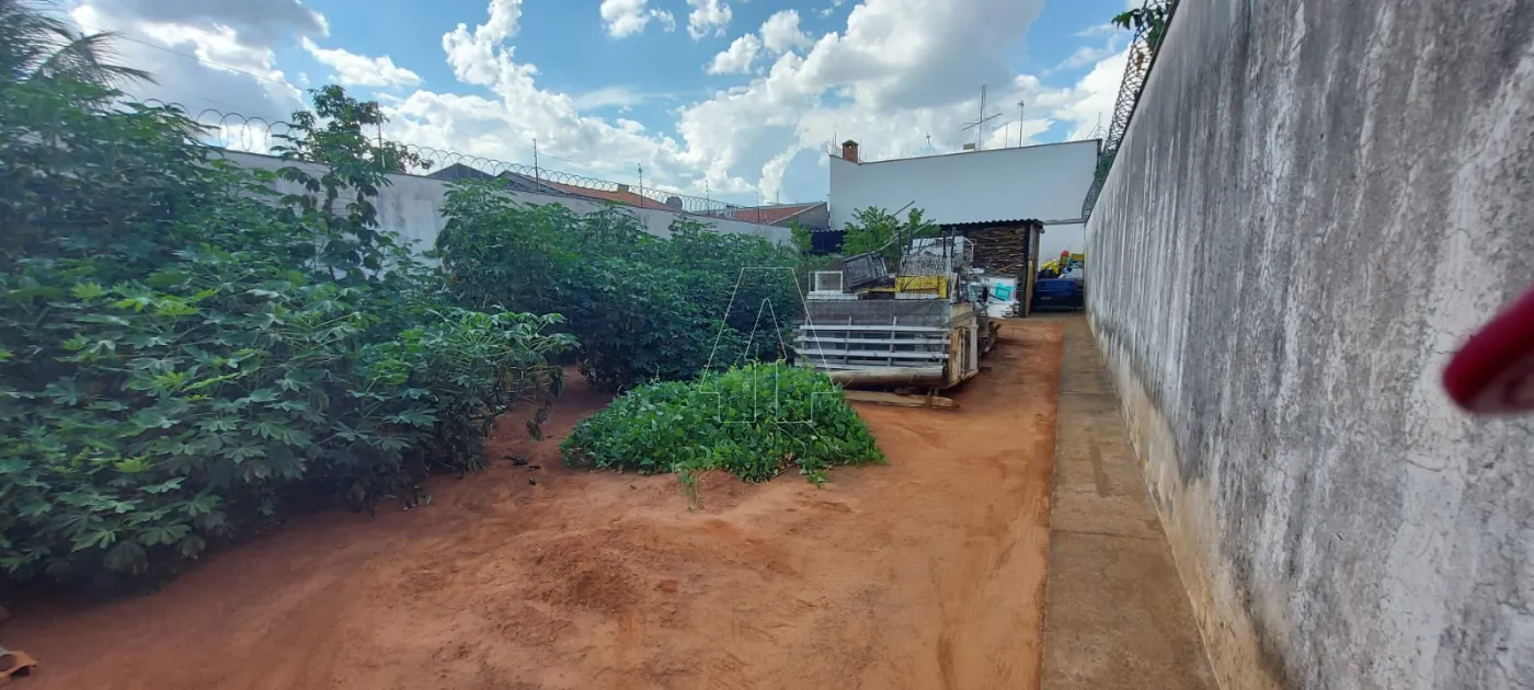 Comprar Terreno / Padrão em Araçatuba R$ 85.000,00 - Foto 3