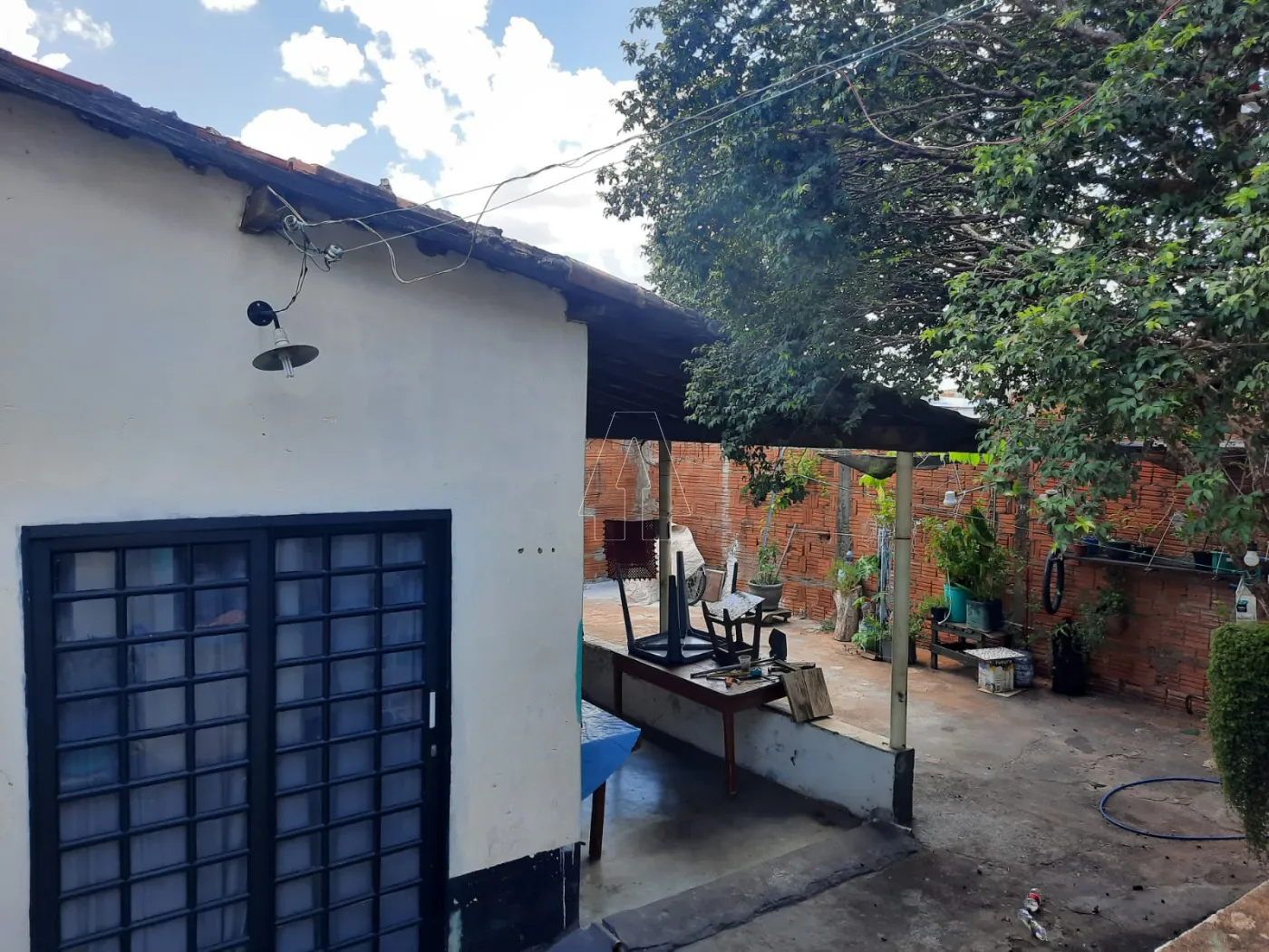 Comprar Casa / Residencial em Araçatuba R$ 280.000,00 - Foto 8
