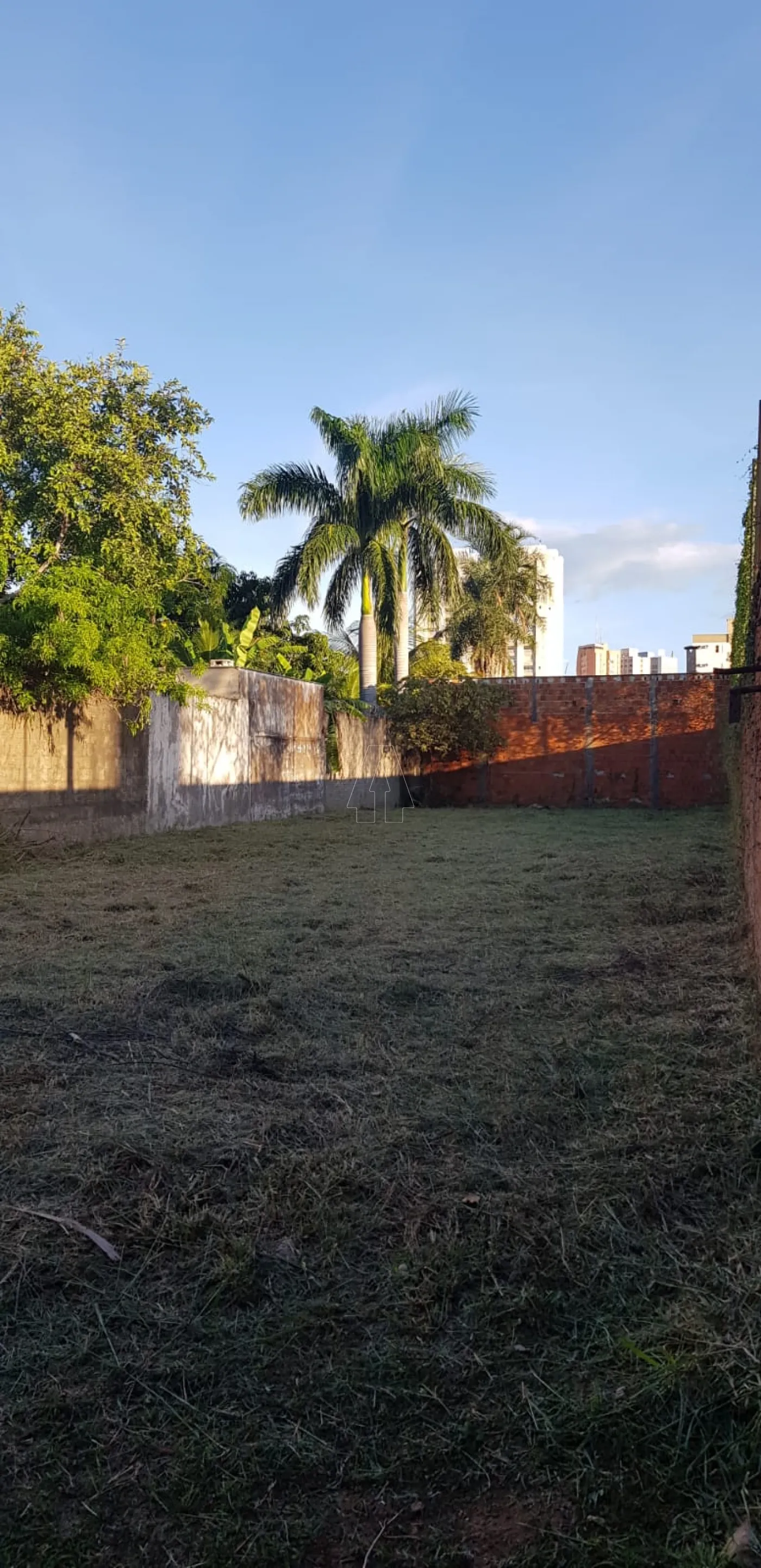 Comprar Terreno / Padrão em Araçatuba R$ 270.000,00 - Foto 2