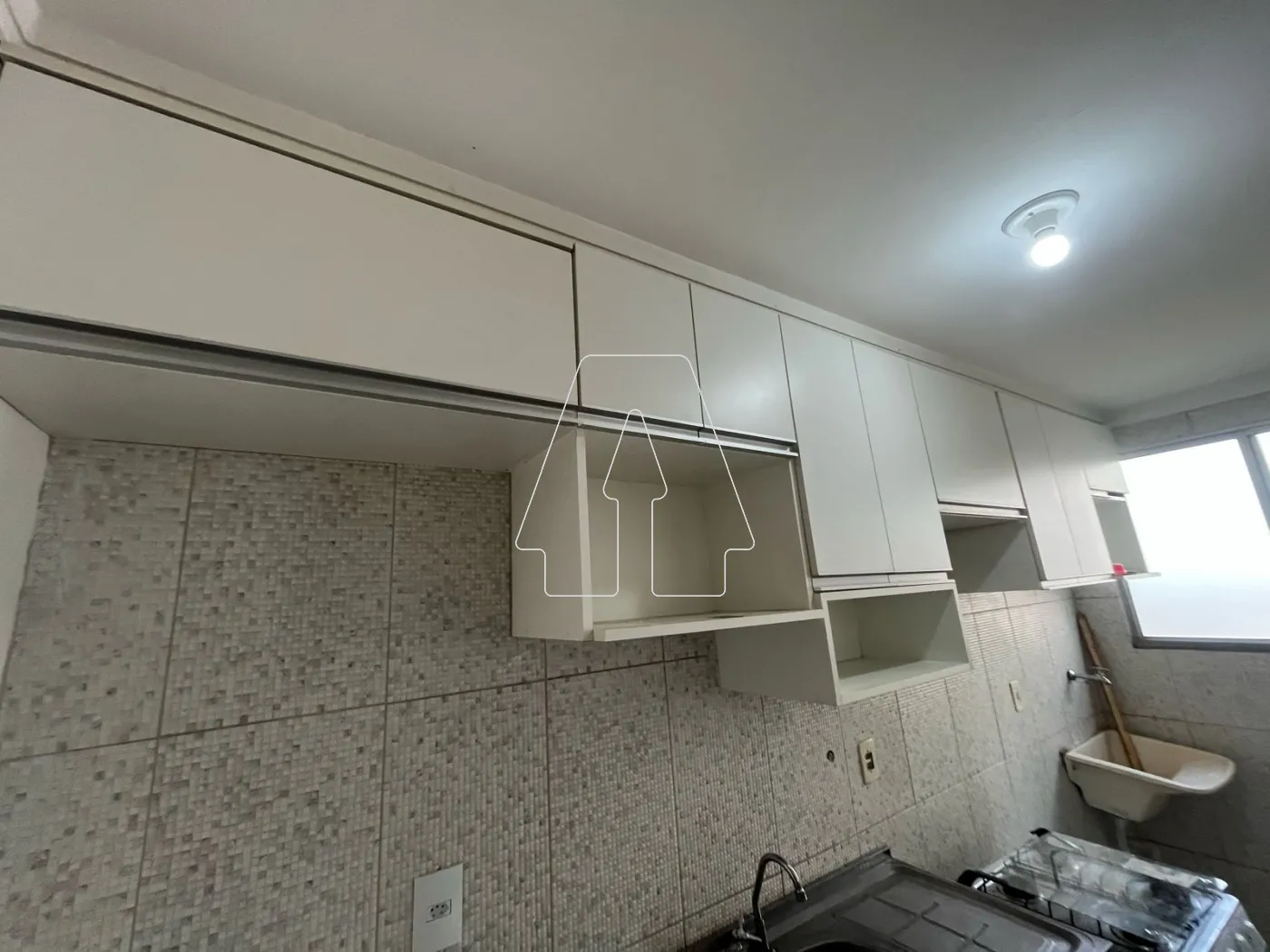 Alugar Apartamento / Padrão em Araçatuba R$ 1.000,00 - Foto 14