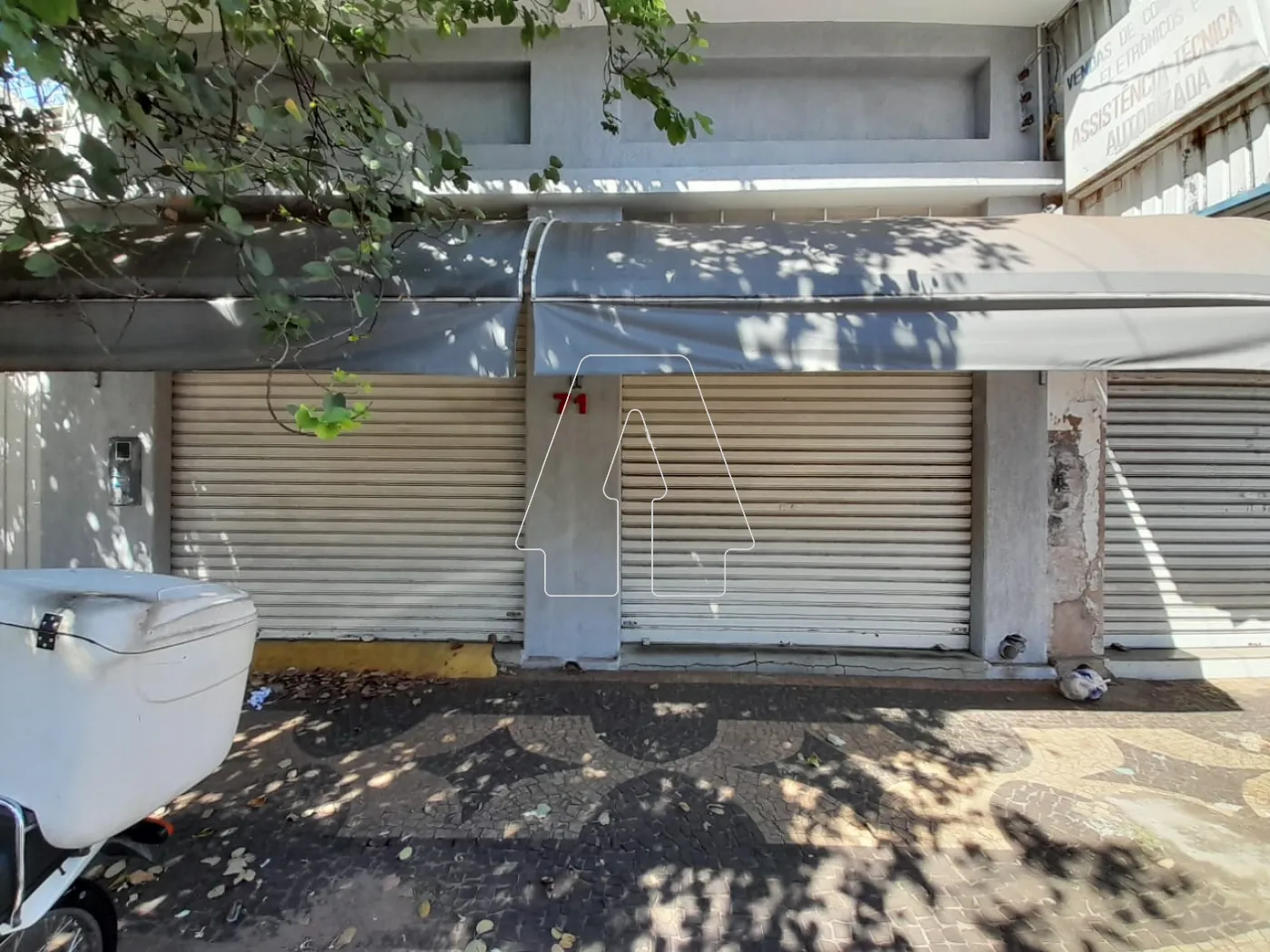 Alugar Comercial / Salão em Araçatuba R$ 3.000,00 - Foto 1