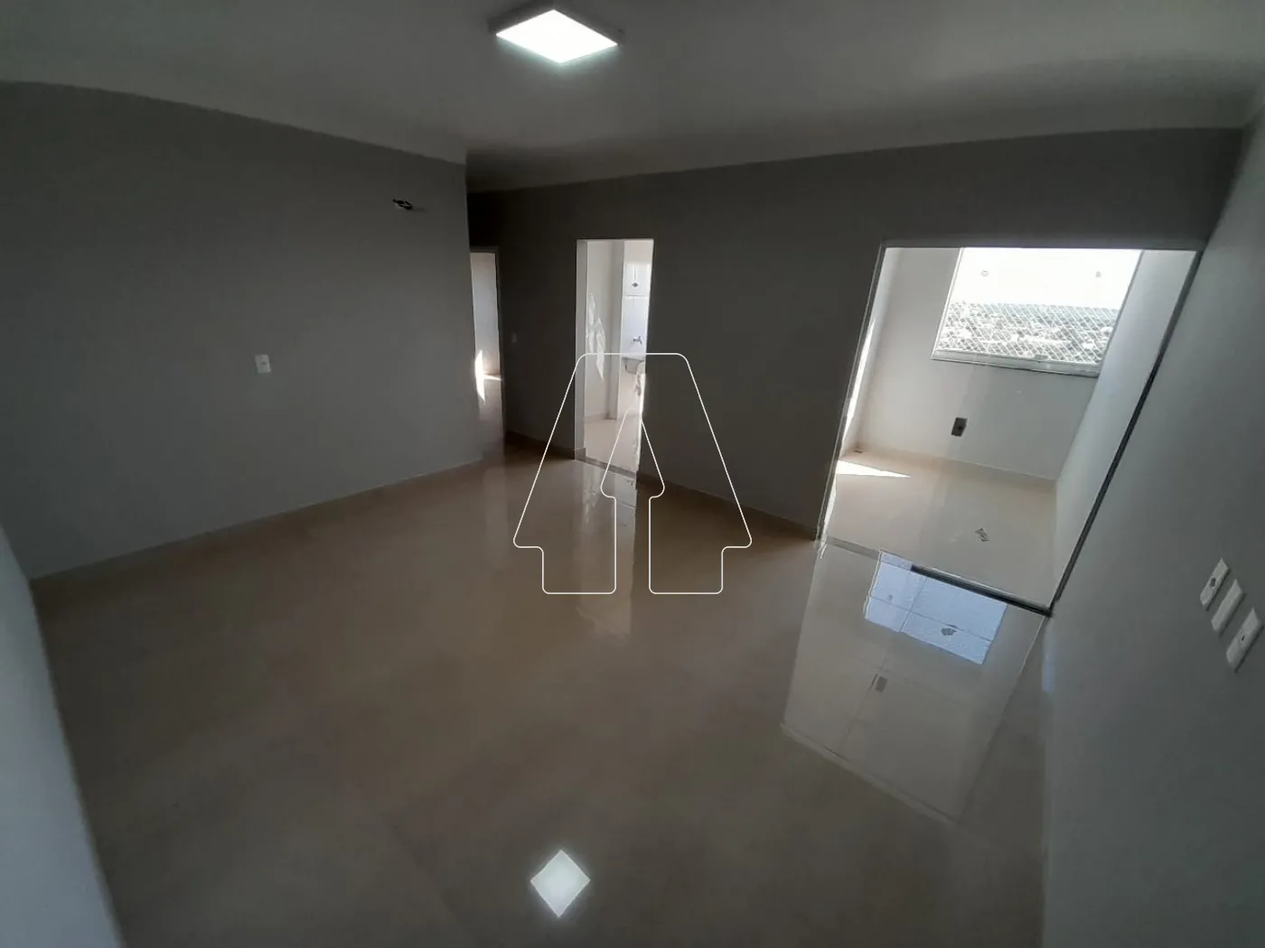 Alugar Apartamento / Padrão em Araçatuba R$ 1.450,00 - Foto 1
