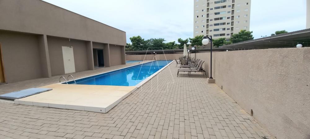 Alugar Apartamento / Padrão em Araçatuba R$ 1.400,00 - Foto 24