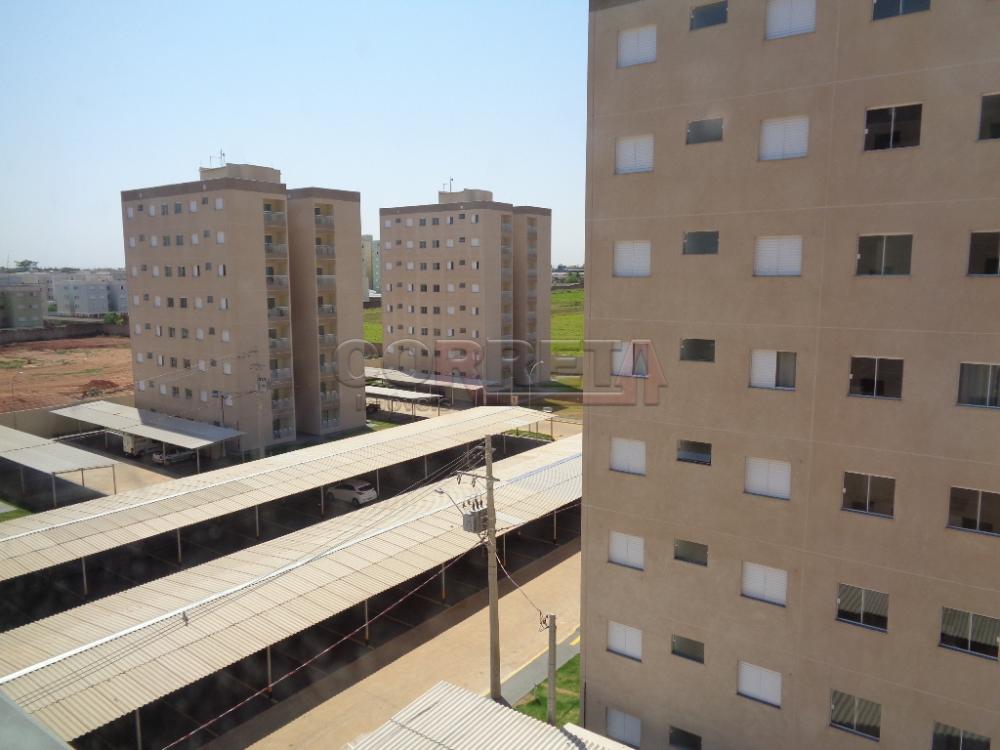 Comprar Apartamento / Padrão em Araçatuba R$ 186.000,00 - Foto 18