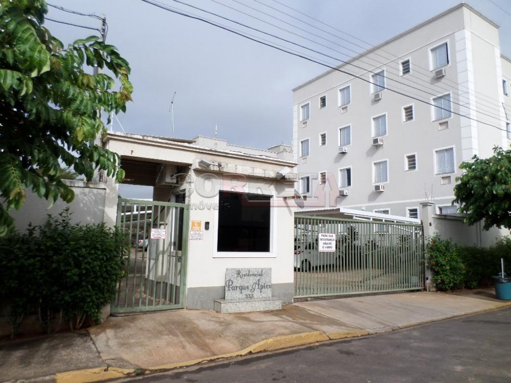 Alugar Apartamento / Padrão em Araçatuba R$ 950,00 - Foto 16