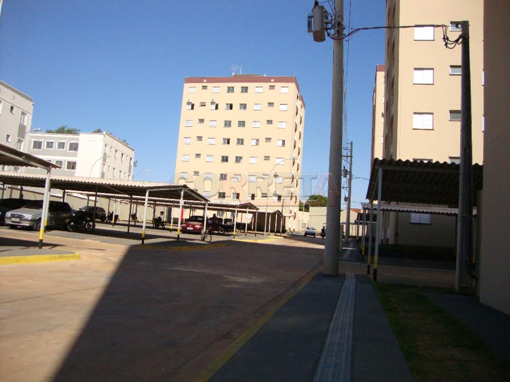 Alugar Apartamento / Padrão em Araçatuba R$ 720,00 - Foto 9