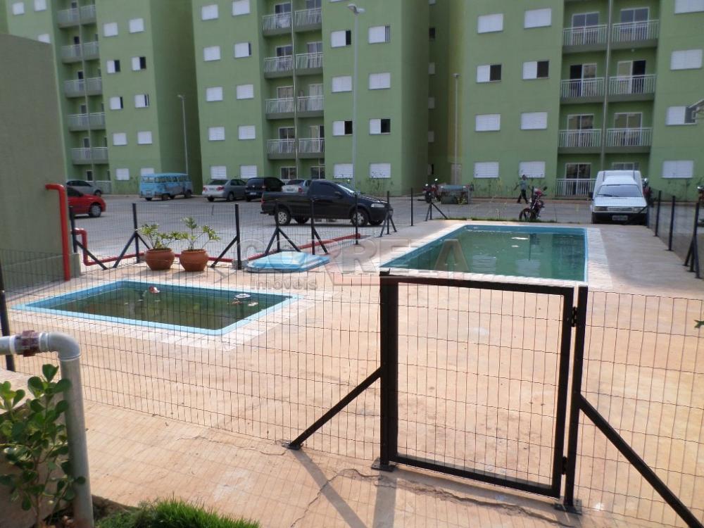 Comprar Apartamento / Padrão em Araçatuba R$ 135.000,00 - Foto 9