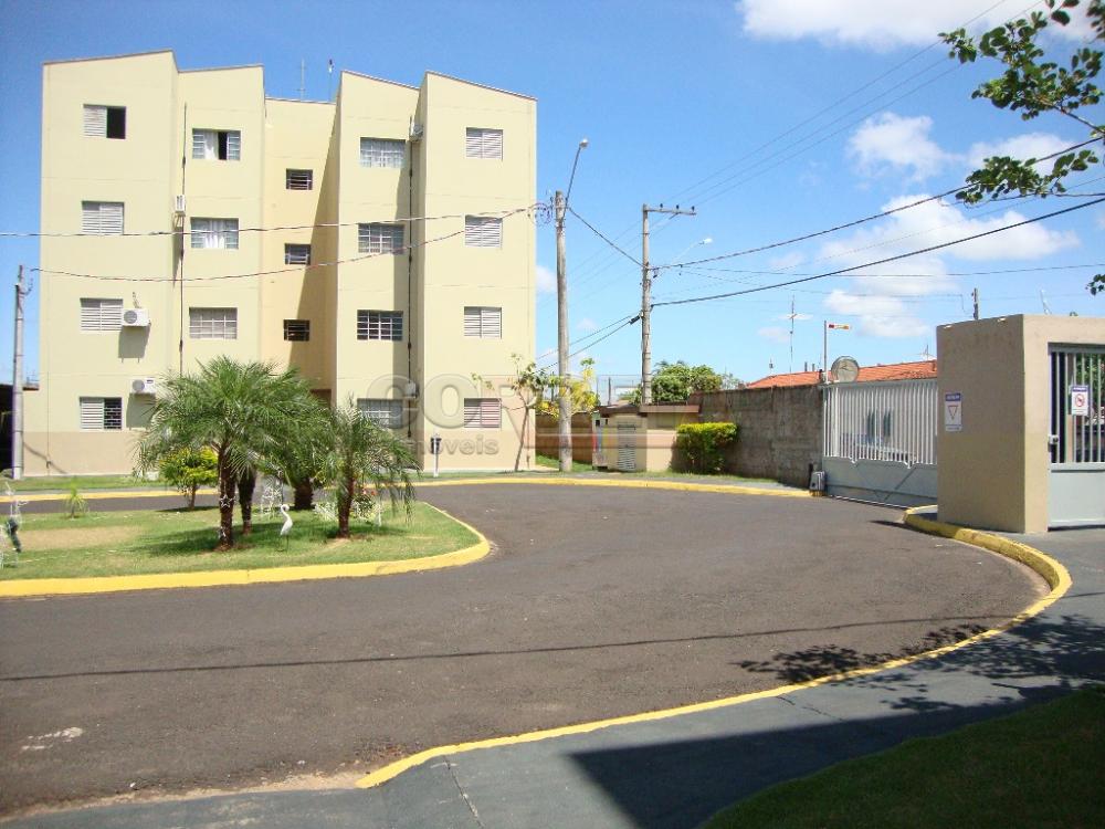 Alugar Apartamento / Padrão em Araçatuba R$ 550,00 - Foto 11