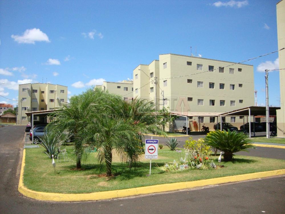 Alugar Apartamento / Padrão em Araçatuba R$ 550,00 - Foto 12